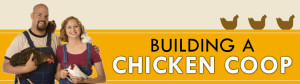 Building A Chicken Coop - Building your own chicken coop 