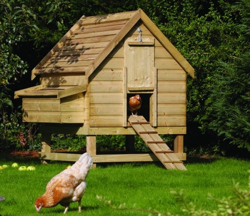 Build a Chicken House Quickly With These Techniques - Building A ...